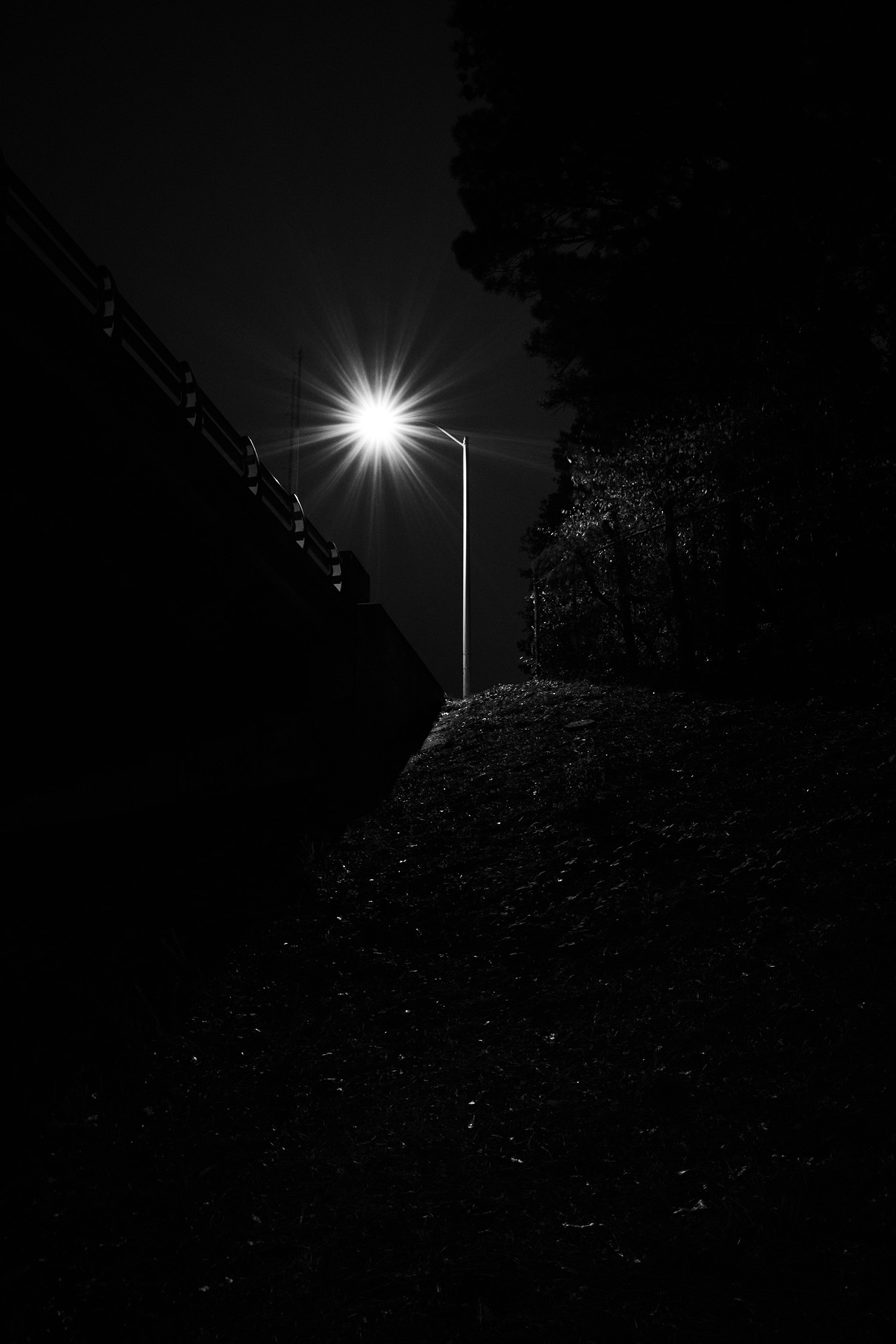 BW Streetlight