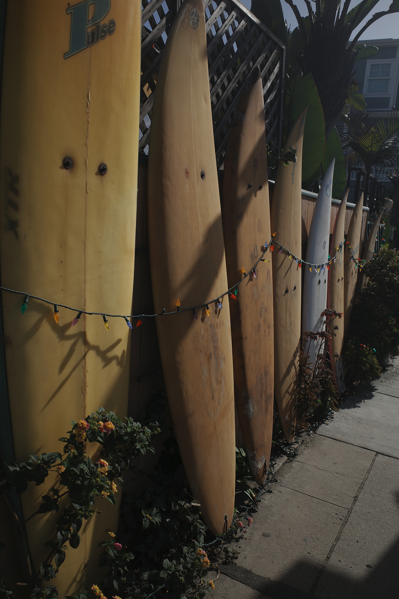 Surfboards